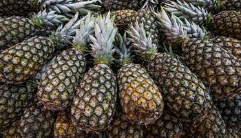 Abacaxi, saiba mais sobre o mercado bilionário desta fruta