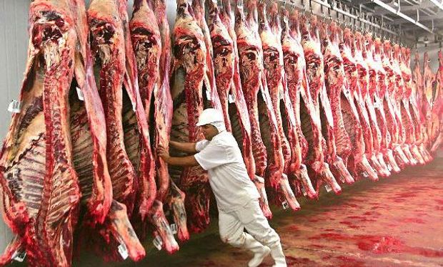 O Brasil exportou 1,84 milhão de toneladas de carne bovina até novembro. (foto - divulgação)