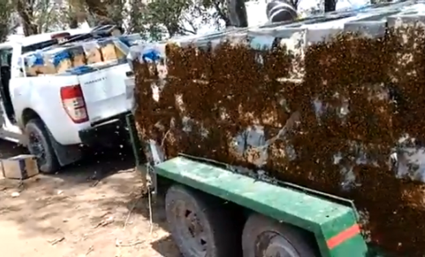 Productor apícola perdió medio millón de pesos por las demoras en los controles interprovinciales en San Luis