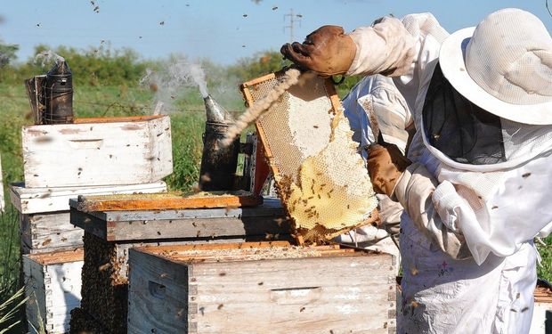 Las exportaciones de las economías regionales cayeron un 9,2 % en febrero