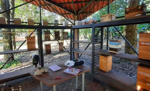 Trabalho foi feito no Refúgio Biológico Bela Vista, em Foz do Iguaçu. ( Foto - Guilherme Schühli/Embrapa)