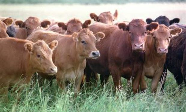 El manejo ajustado es clave en zonas difíciles