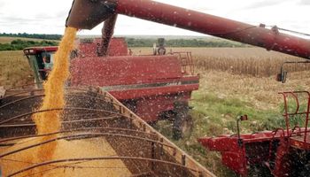 Abiove corta previsão da safra de soja de 2026 para 177,7 milhões de toneladas