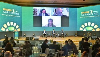Transição energética é a chance do Brasil brilhar na COP30, diz CEO da Bayer