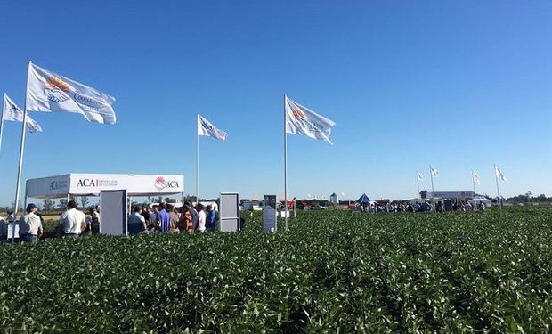 Las jornadas se desarrollarán en Armstrong y Chacabuco.