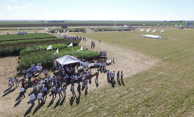 Nuevas ediciones de las ya tradicionales jornadas “A Campo Abierto”.