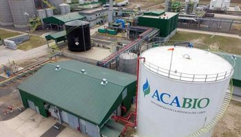 Bioetanol: el Gobierno fijó una suba de precios escalonada hasta agosto