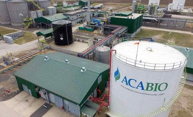 Bioetanol: el Gobierno fijó una suba de precios escalonada hasta agosto