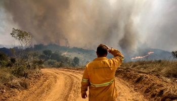 Nem bituca, nem raio, nem caco de vidro: o que está por trás de tantos incêndios?