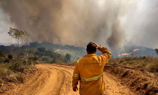 Nem bituca, nem raio, nem caco de vidro: o que está por trás de tantos incêndios?