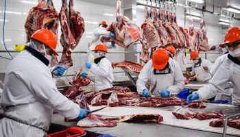 Aumentó la exportación de carne, pero la facturación cayó un 23,3 %