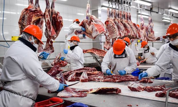 Aumentó la exportación de carne, pero la facturación cayó un 23,3 %