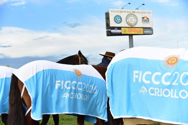 caballos criollos al mundial