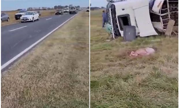 "Es un asesinato": registró el choque de un camión y expresó su bronca por el motivo del accidente