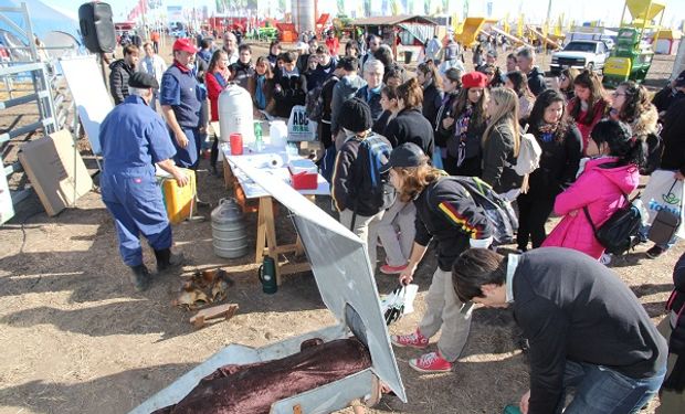 Acción ganadera en el predio de Agroactiva