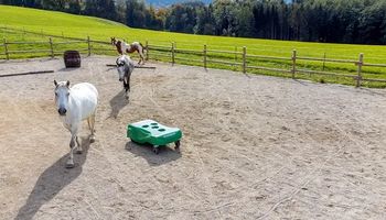 Un alemán creó un robot para "dar vacaciones" a los criadores de caballos: ya trabajan en uno para la ganadería y la lechería