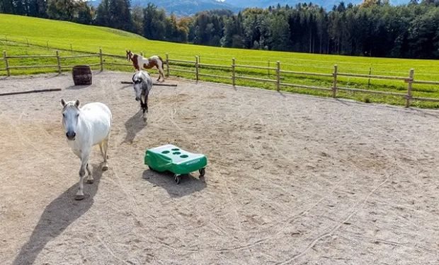 Un alemán creó un robot para "dar vacaciones" a los criadores de caballos: ya trabajan en uno para la ganadería y la lechería