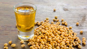 En China podría caer el consumo doméstico de aceite de soja