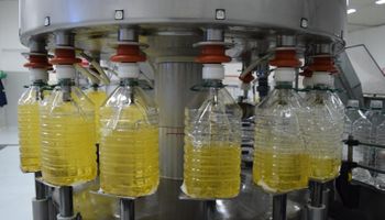 Paso a paso: cómo es el proceso que transforma el aceite de girasol