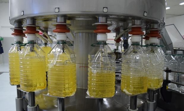 Paso a paso: cómo es el proceso que transforma el aceite de girasol |  Agrofy News