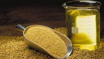 Cae la producción de aceite de soja