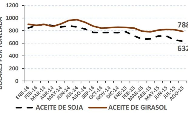 Aumentan 160% las exportaciones de girasol y derivados | Agrofy News