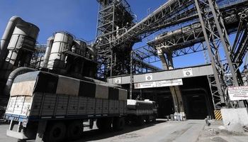 China afirma que compra menos aceite argentino por su alto precio