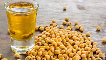El aceite de soja cayó con fuerza en Chicago