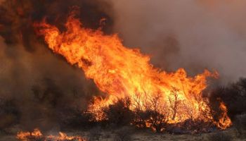 Declaran la emergencia agropecuaria en los campos arrasados por el fuego en Córdoba