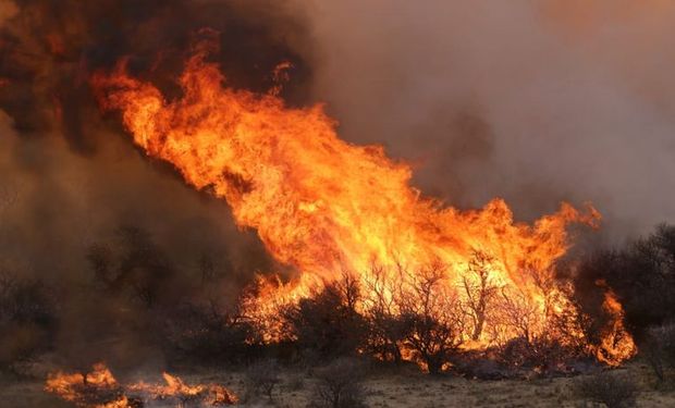 Declaran la emergencia agropecuaria en los campos arrasados por el fuego en Córdoba