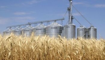 Mayores existencias de trigo en Francia