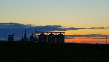 Noticias agrícolas del día