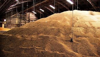Creció 43% la exportación de soja en los primeros nueve meses del año