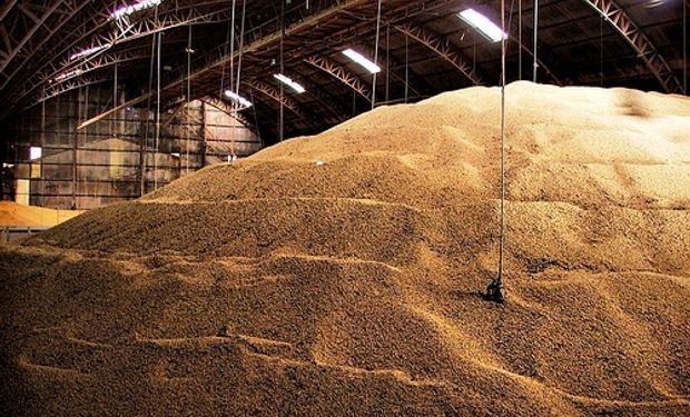 El Gobierno estima que el agro retiene u$s 7400 millones de soja sin vender