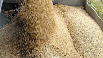 Cómo se pueden agregar 20 millones de toneladas más a la producción de granos