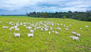 Governo de Mato Grosso revoga cobrança para pecuaristas