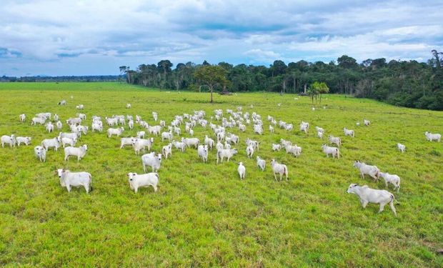 Cobrança criaria um ônus aos produtores de cerca de R$ 50 milhões por ano, diz Acrimat. (foto - Acrimat)