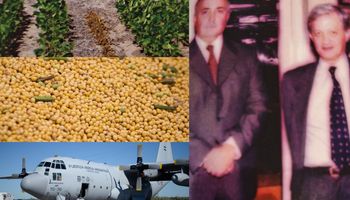 Las anécdotas de la llegada de la soja a la Argentina: semillas en un Hércules, discusiones con Greenpeace y hasta emboscadas en un cultivo que se volvió estrella