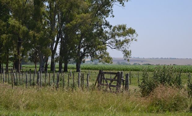 La actividad inmobiliaria rural en enero fue la más baja desde 2014