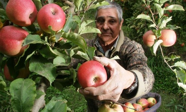 Actividad agraria: dirigida a la obtención de frutos o productos primarios, mediante la realización de tareas pecuarias, agrícolas, forestales, hortícolas, avícolas, apícolas u otras semejantes.