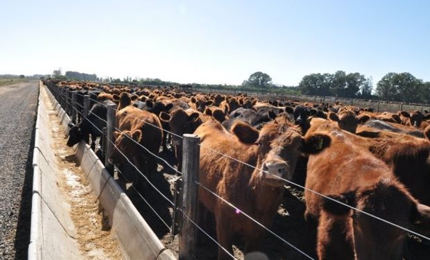 Momentos en que se demanda una mayor productividad del rodeo para abastecer los mercados y mejorar la ecuación de la cadena.