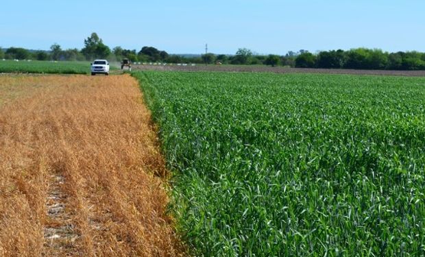 Segundo mes consecutivo de caída en la actividad inmobiliaria rural.