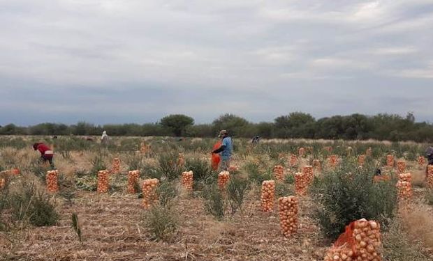 Actualizan subsidio del Programa Intercosecha desde noviembre 2021