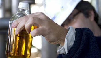 Firman acuerdo para la distribución del cupo del 2% de aumento de alcohol para el Bioetanol