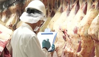 Destacan un "histórico" acuerdo con China para la exportación de carne