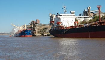 Acuerdo con cerealeras: autorizan exportación de trigo y maíz