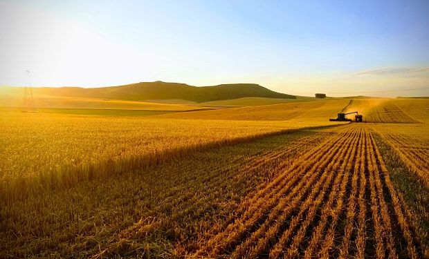 A través del agro: cómo comprar dólar a $350 para capturar un potencial acortamiento de la brecha cambiaria