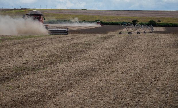 Líderes de los agronegocios cuentan sus planes y perspectivas para la campaña agrícola 2024/25