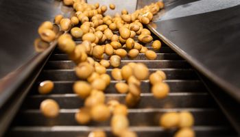 ADM bate recorde e processa 5,4 milhões de toneladas de soja no Brasil