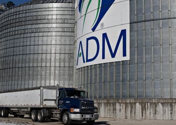 ADM deve pagar “prêmio” para grãos sustentáveis ainda em 2024